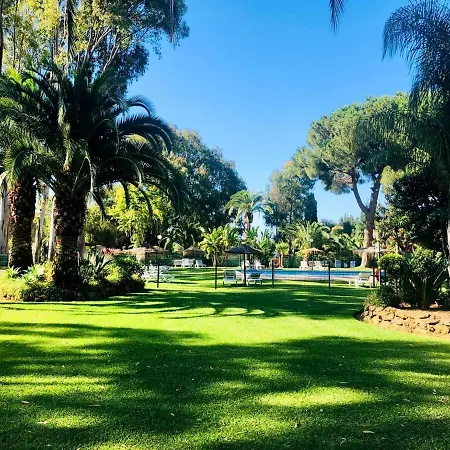 Denise Banus מארבלה