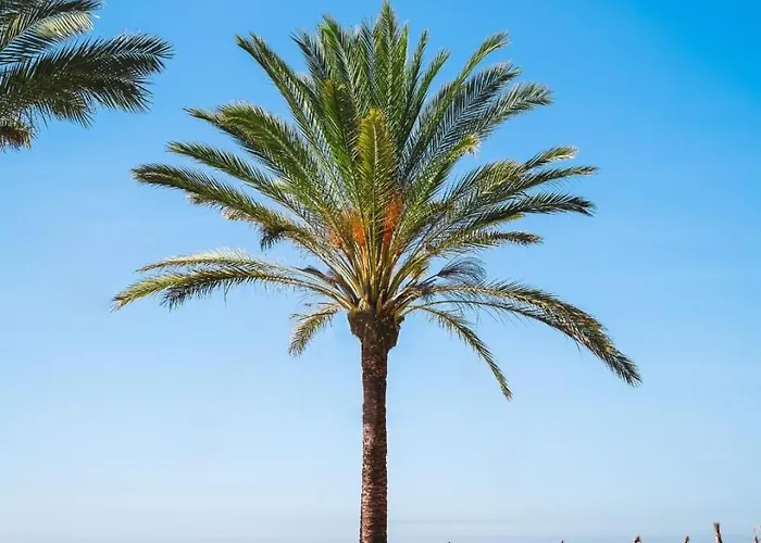 Denise Banus Marbella