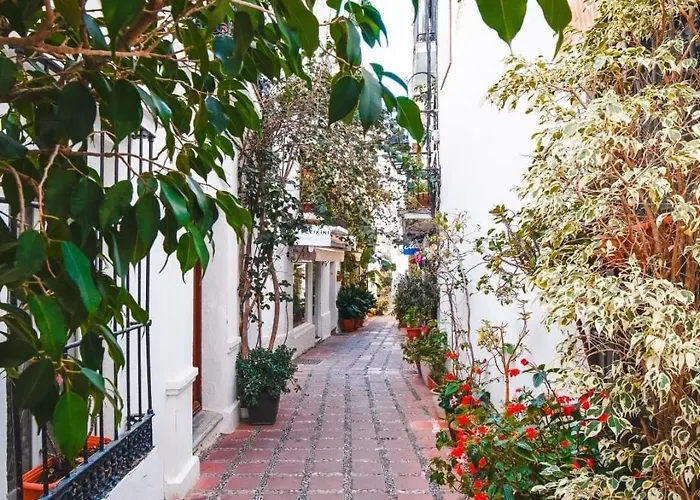 Apartament Denise Banus *